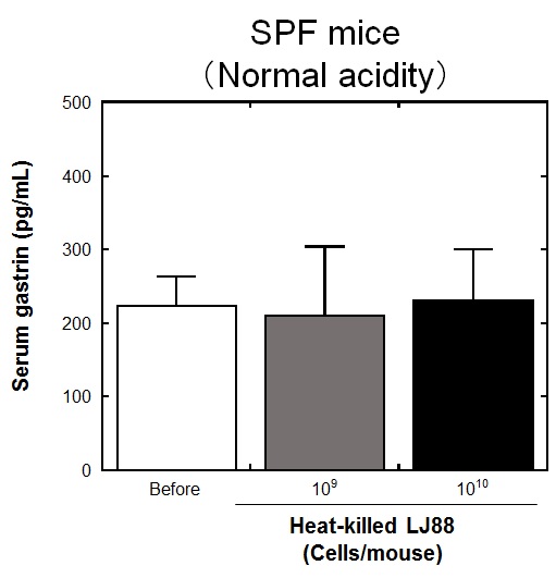 SPFマウス（正常胃酸状態）
