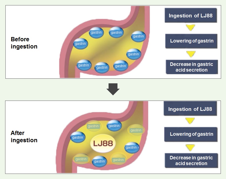 ものづくりの挑人たち、からのキャプチャー
