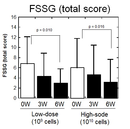 FSSG総合計点数